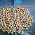 Blanched Peanut Groundnut Raw Peanut